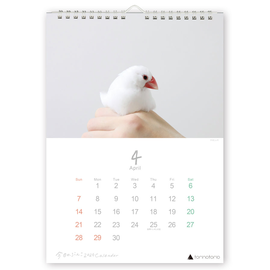 2024年版 今日のぶんこ A4壁掛けカレンダー