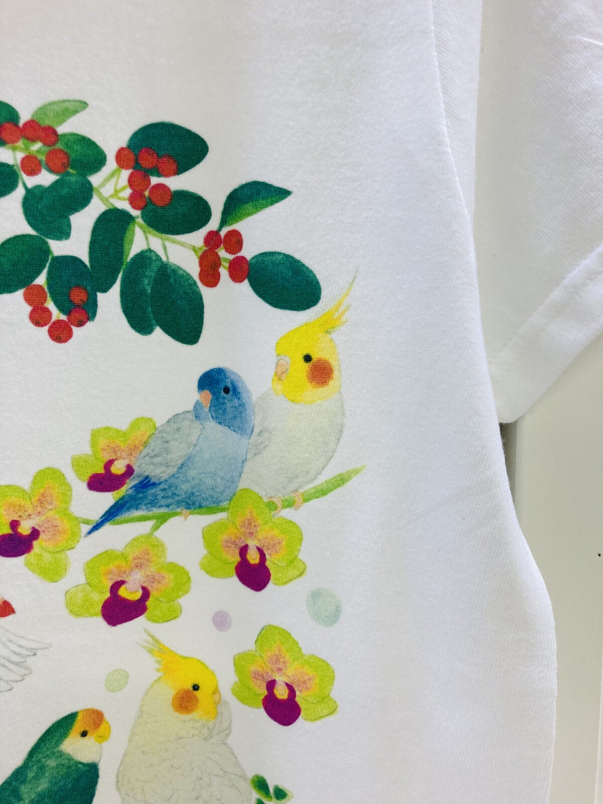 レディースTシャツ 森のことりたち 受注製作 送料無料 クーポン利用不可