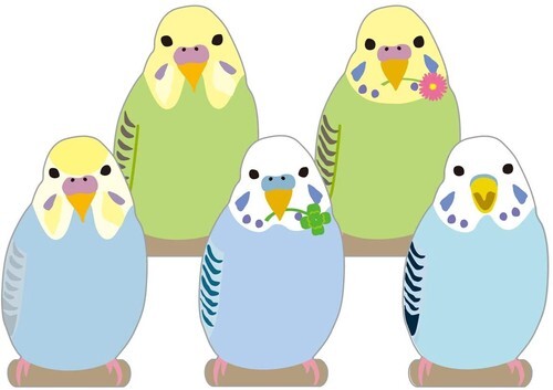 ダイカットメモ セキセイインコ