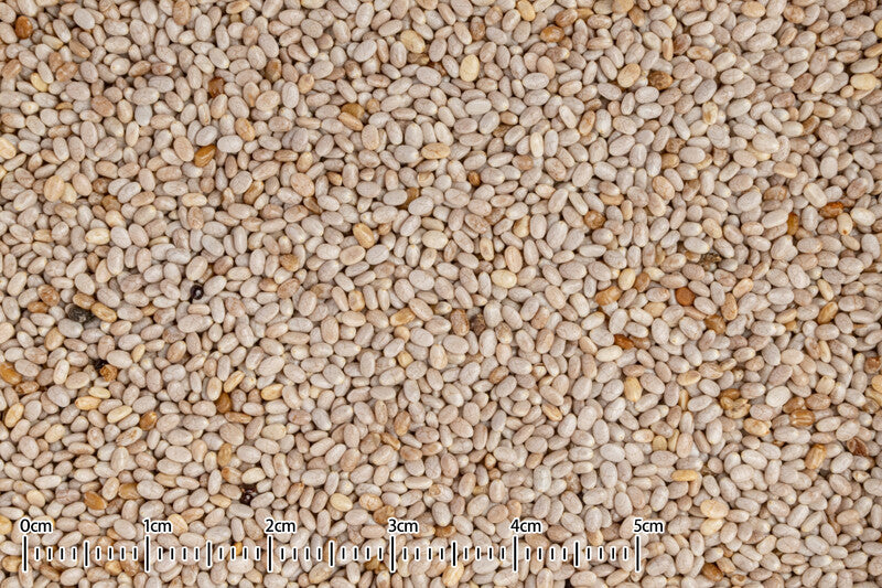 黒瀬ペットフード 自然派宣言 チアシード 30g