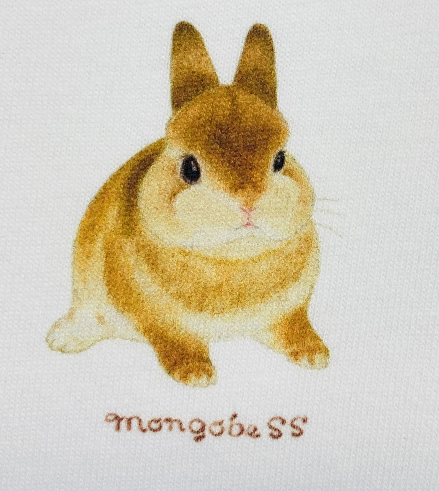 ビッグTシャツ ドーナツとうさぎ 受注製作 送料無料 クーポン利用不可