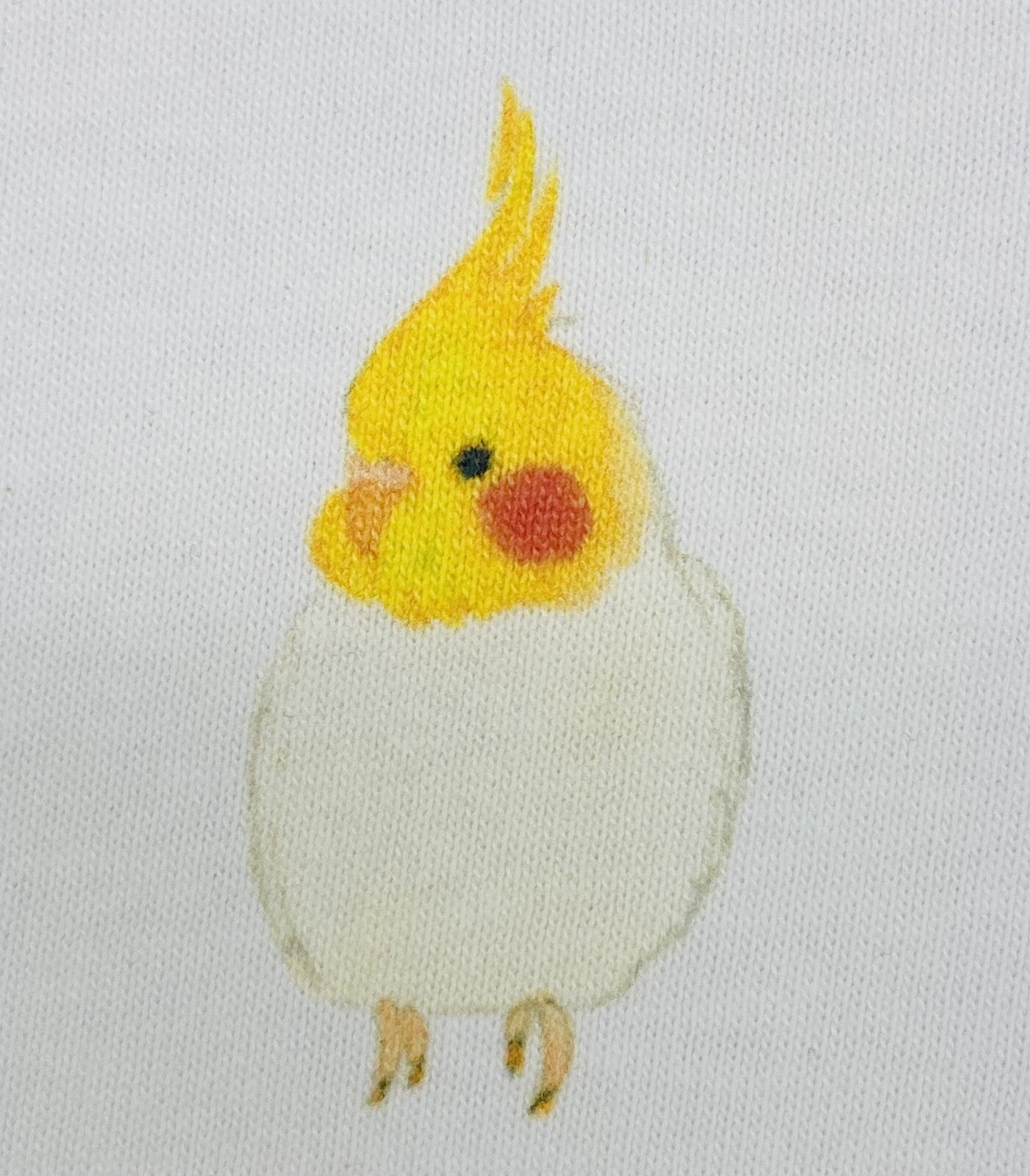 レディースTシャツ ラウンドオカメ オカメインコ 受注製作 送料無料 クーポン利用不可