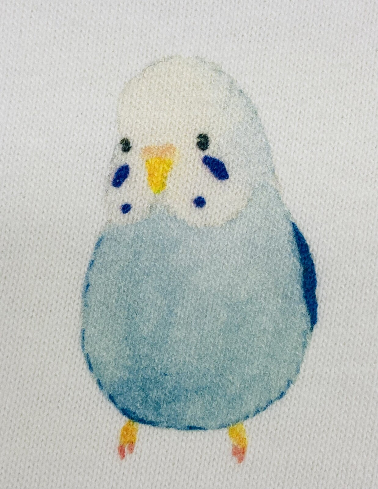 レディースTシャツ ラウンドセキセイ セキセイインコ 受注製作 送料無料 クーポン利用不可