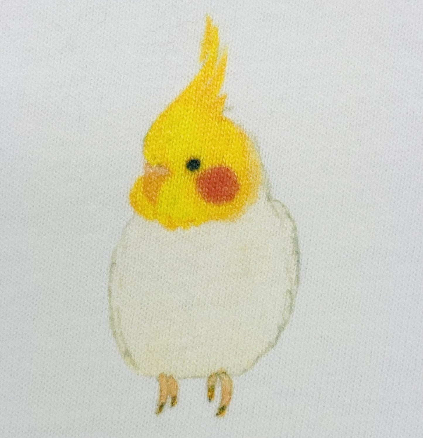 ビッグTシャツ ラウンドオカメ オカメインコ 受注製作 送料無料 クーポン利用不可