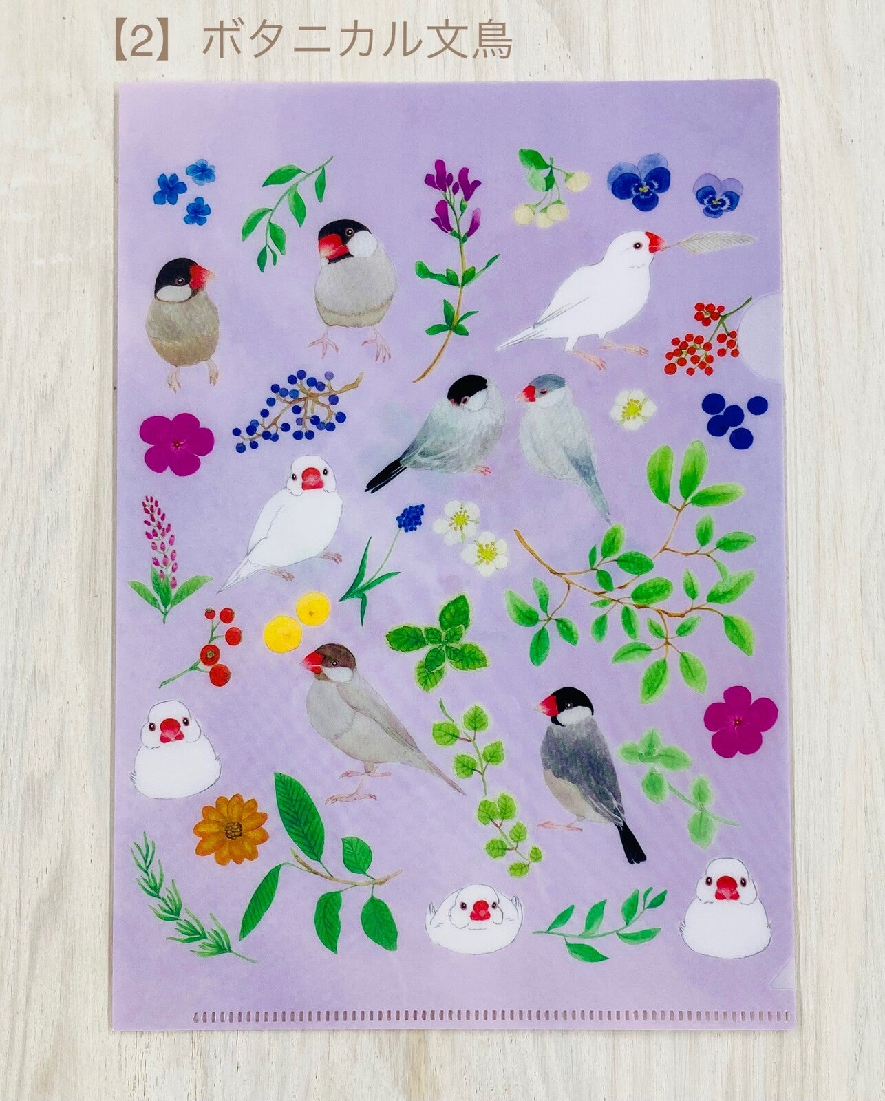A5クリアファイル ボタニカル文鳥