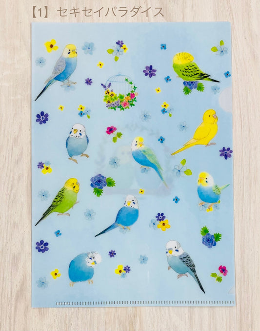 A5クリアファイル セキセイパラダイス セキセイインコ