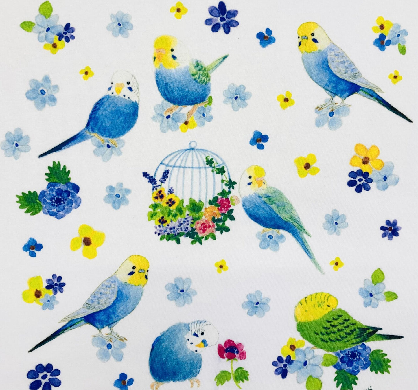 ビッグTシャツ セキセイパラダイス セキセイインコ 受注製作 送料無料 クーポン利用不可