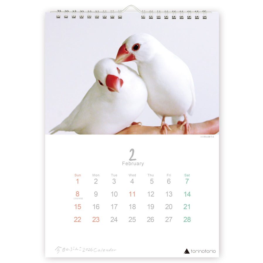 (予約販売)2026年版 今日のぶんこ A4壁掛けカレンダー 文鳥