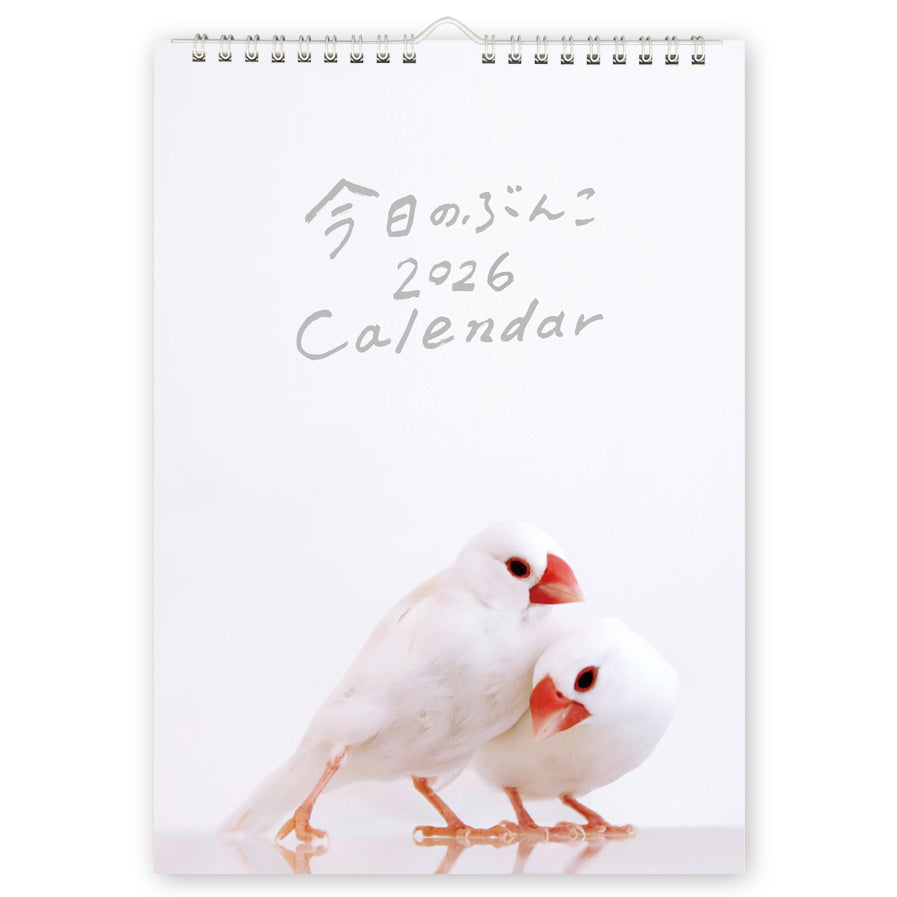 (予約販売)2026年版 今日のぶんこ A4壁掛けカレンダー 文鳥