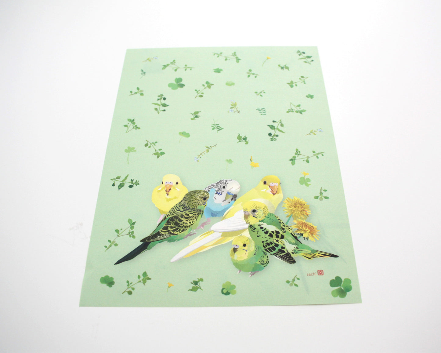 レターセット とりアート セキセイインコとひよこ草