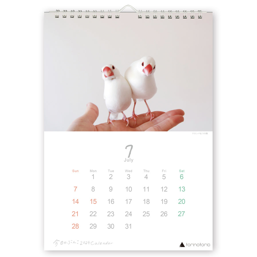 2024年版 今日のぶんこ A4壁掛けカレンダー