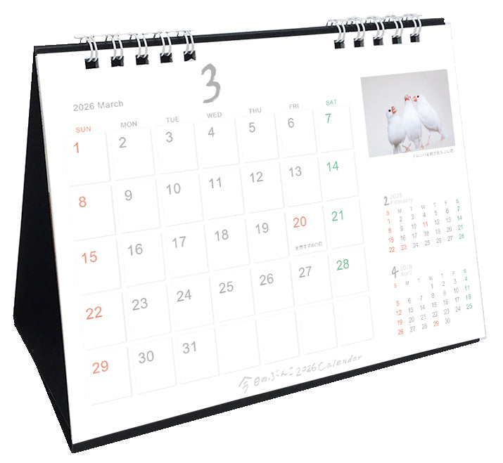 (予約販売)2026年版 今日のぶんこカレンダー 卓上タイプ 文鳥