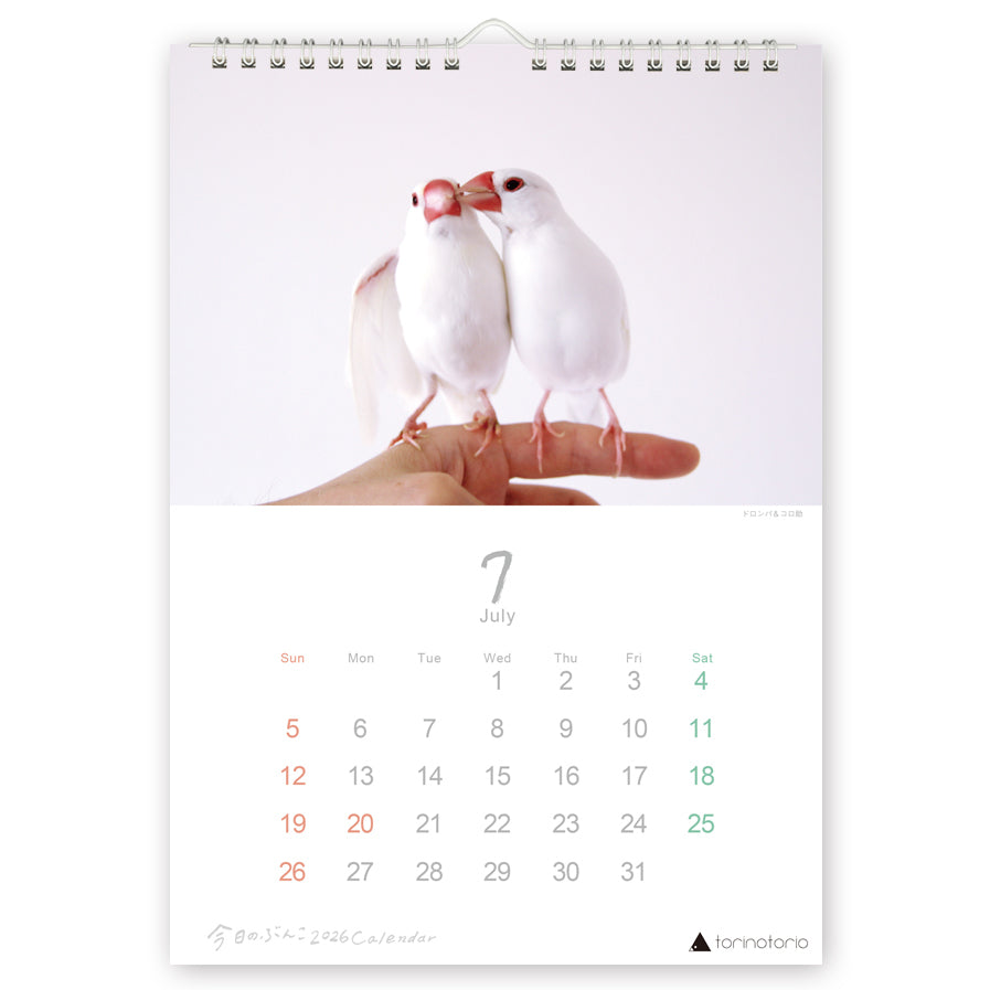 (予約販売)2026年版 今日のぶんこ A4壁掛けカレンダー 文鳥