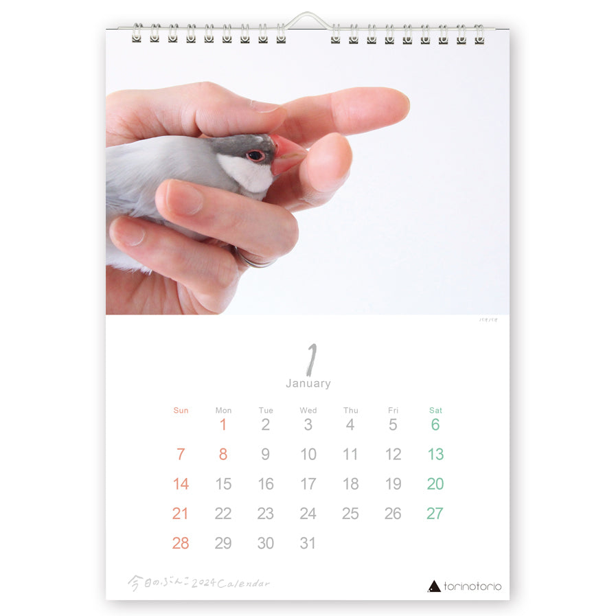 2024年版 今日のぶんこ A4壁掛けカレンダー