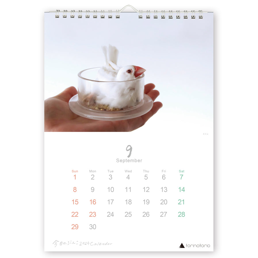 2024年版 今日のぶんこ A4壁掛けカレンダー