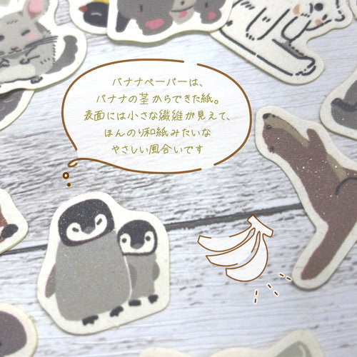 バナナペーパーフレークシール・絶滅危惧種 シロフクロウ
