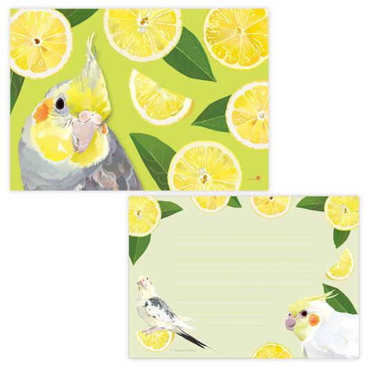 メモ帳 とりアート レモンレモン オカメインコ