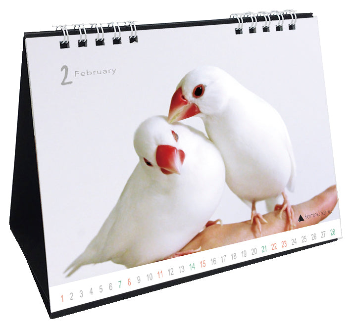 (予約販売)2026年版 今日のぶんこカレンダー 卓上タイプ 文鳥