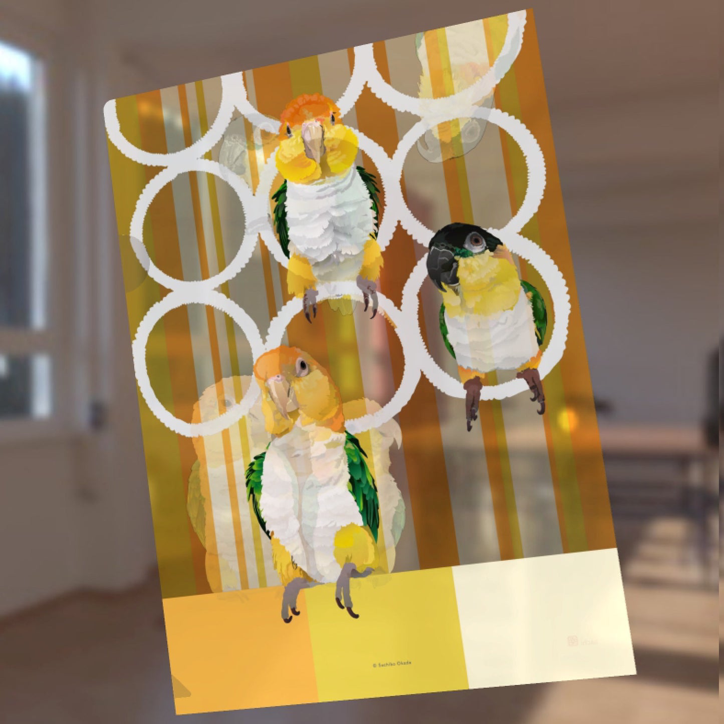 A4 クリアファイル とりアート シロハラ×ズグロ シロハラインコ ズグロシロハラインコ