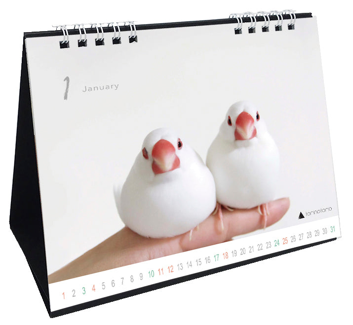 (予約販売)2026年版 今日のぶんこカレンダー 卓上タイプ 文鳥