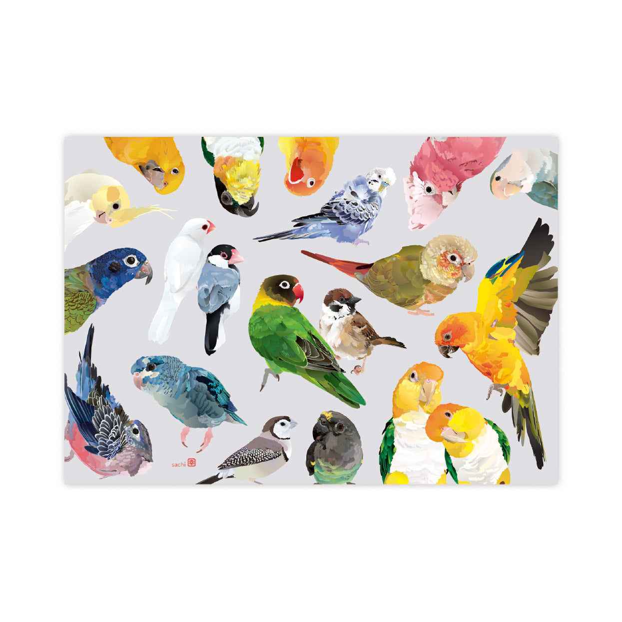 メモ帳 とりアート VIVID BIRDS