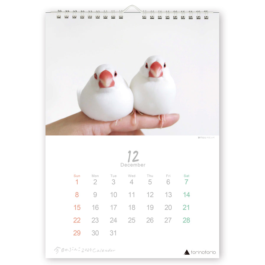 2024年版 今日のぶんこ A4壁掛けカレンダー