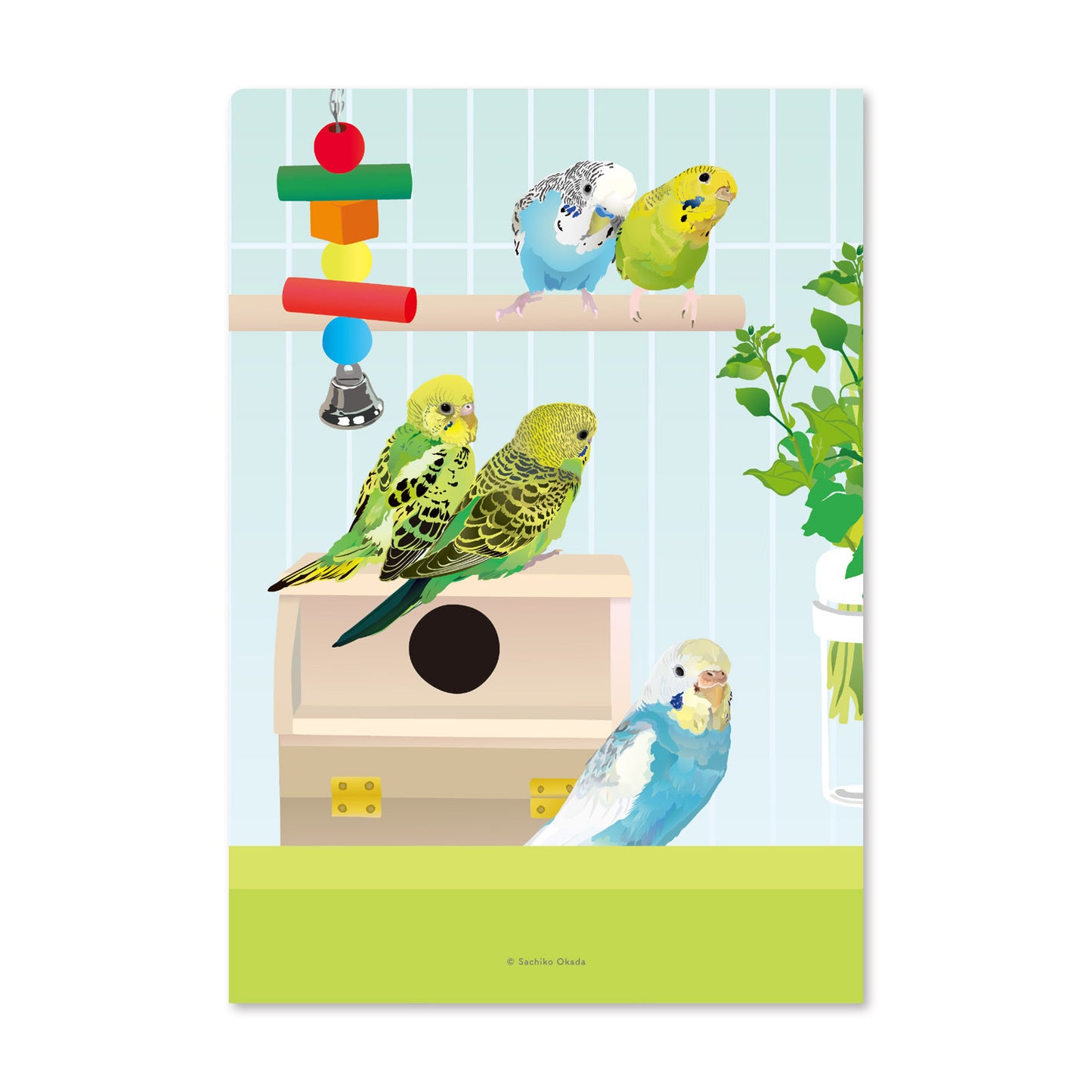 A5 クリアファイル とりアート セキセイハウス セキセイインコ