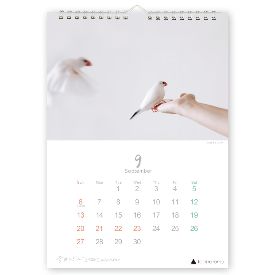 (予約販売)2026年版 今日のぶんこ A4壁掛けカレンダー 文鳥