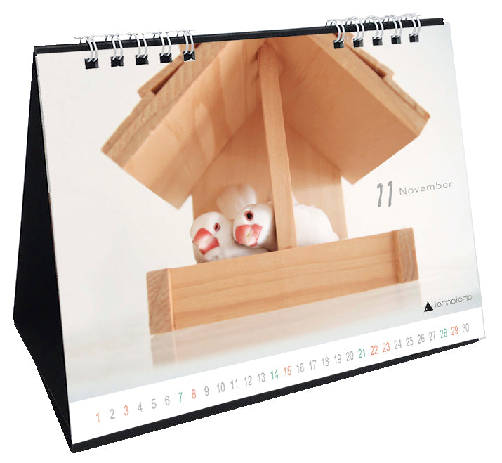 (予約販売)2026年版 今日のぶんこカレンダー 卓上タイプ 文鳥