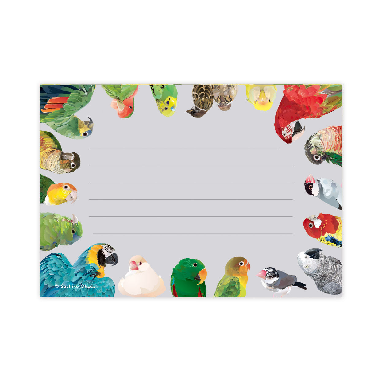 メモ帳 とりアート VIVID BIRDS