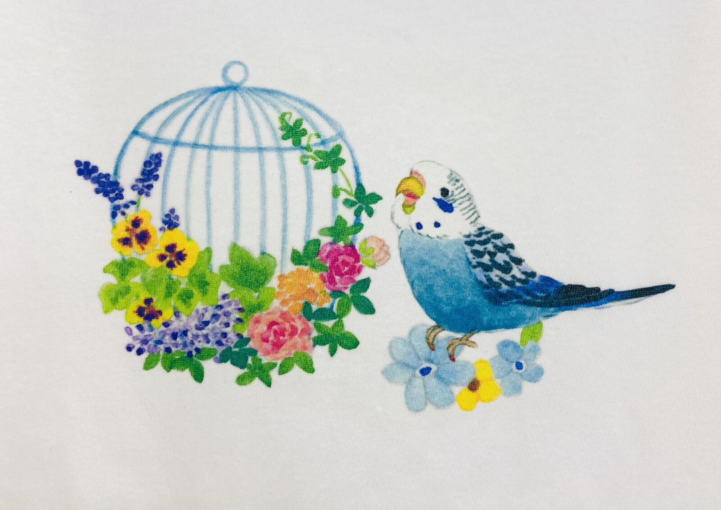 レディースTシャツ 鳥かごことりシリーズ セキセイインコ 受注製作 送料無料 クーポン利用不可