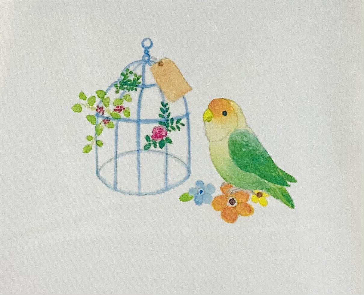 レディースTシャツ 鳥かごことりシリーズ コザクラインコ 受注製作 送料無料 クーポン利用不可