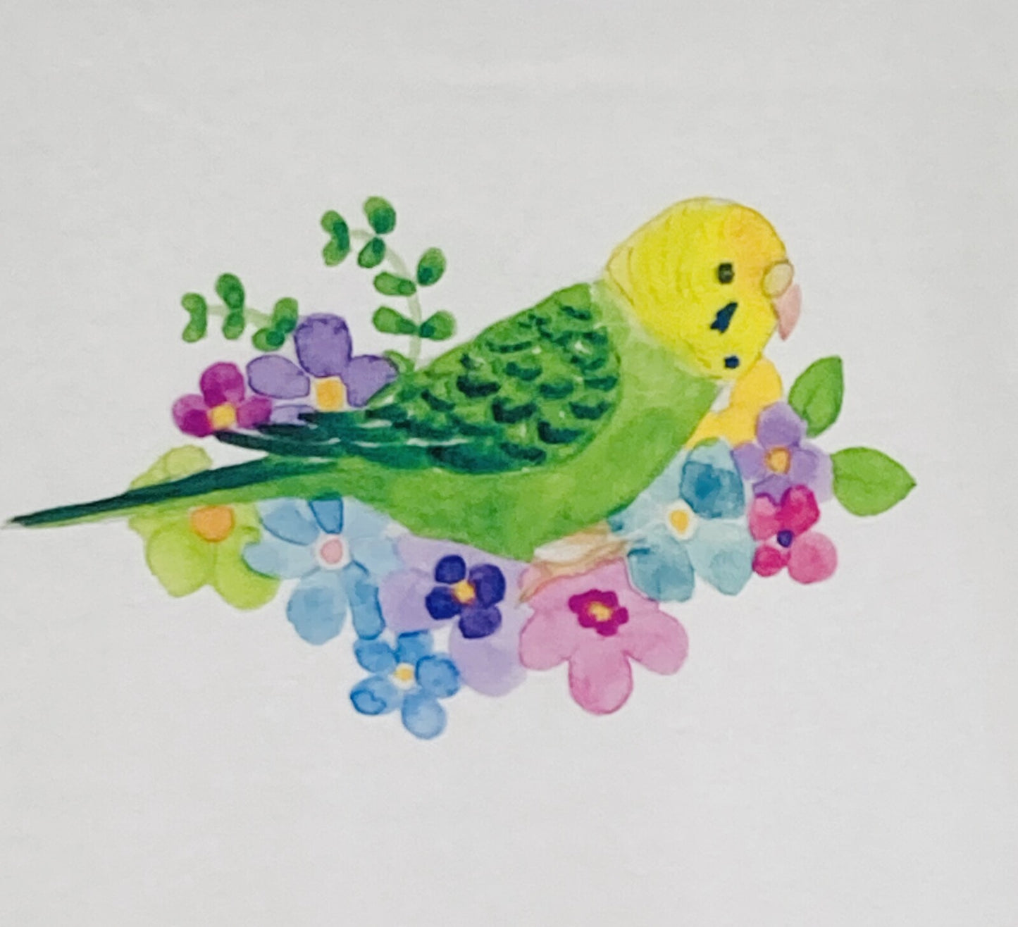 レディースTシャツ フラワーことりシリーズ セキセイインコ グリーン 受注製作 送料無料 クーポン利用不可