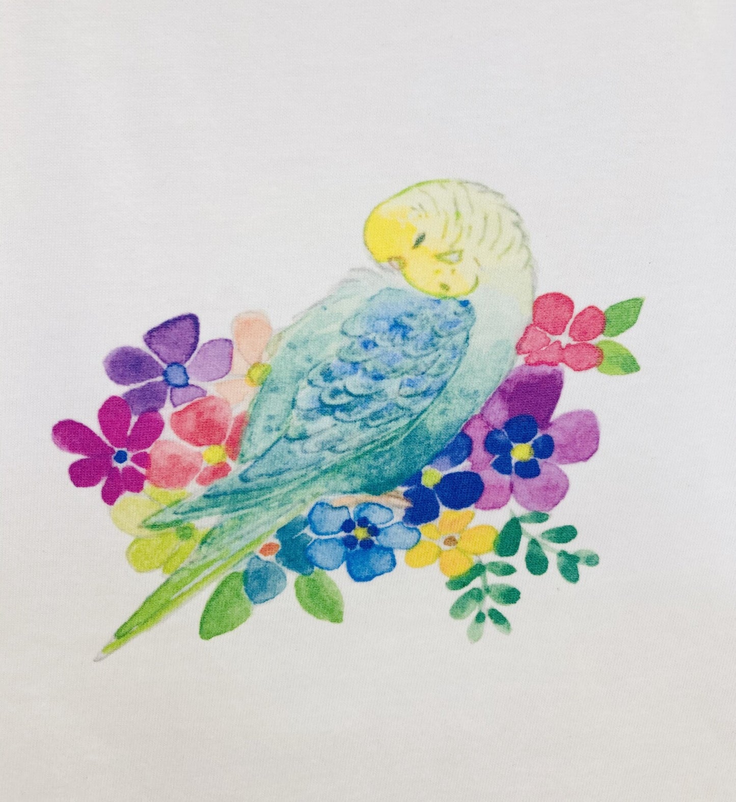 レディースTシャツ フラワーことりシリーズ セキセイインコ レインボー 受注製作 送料無料 クーポン利用不可