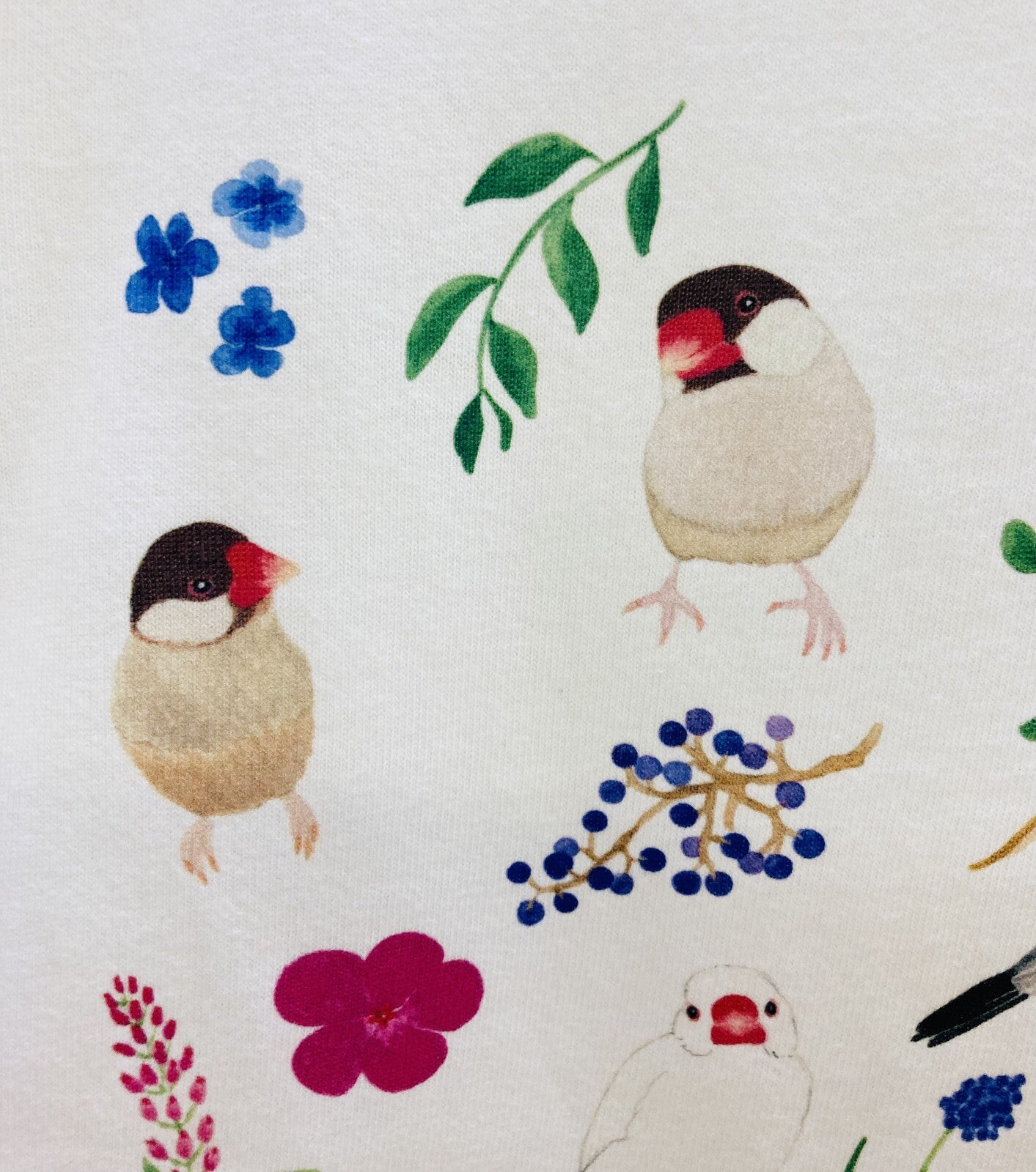 レディースTシャツ ボタニカルシリーズ 文鳥 受注製作 送料無料 クーポン利用不可