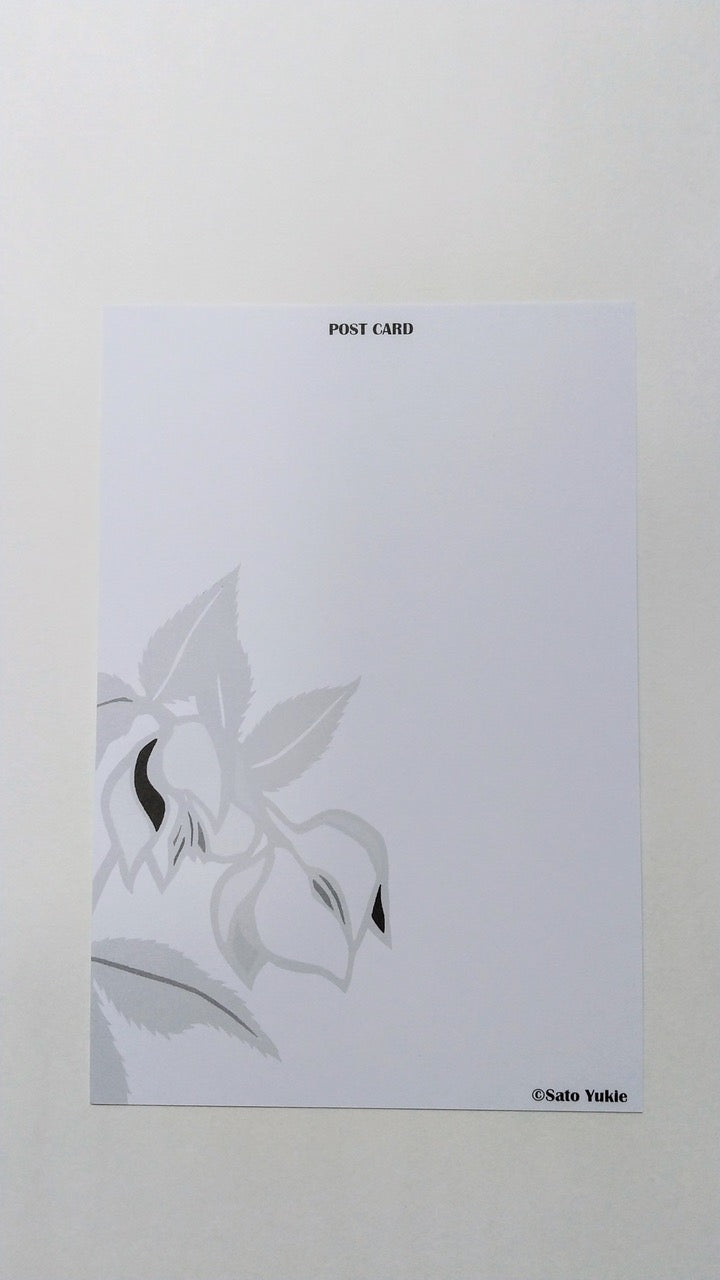 ポストカード クリスマスローズと文鳥