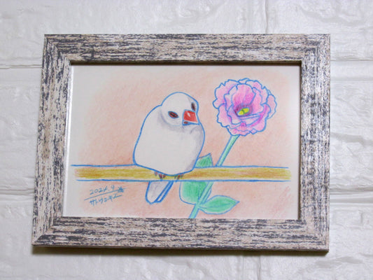文鳥画 色鉛筆 原画 ほんのり 白文鳥とトルコキキョウ