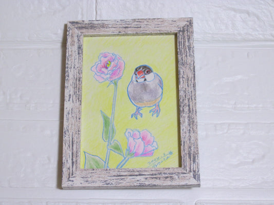 文鳥画 色鉛筆 原画 まったり 桜文鳥とトルコキキョウ
