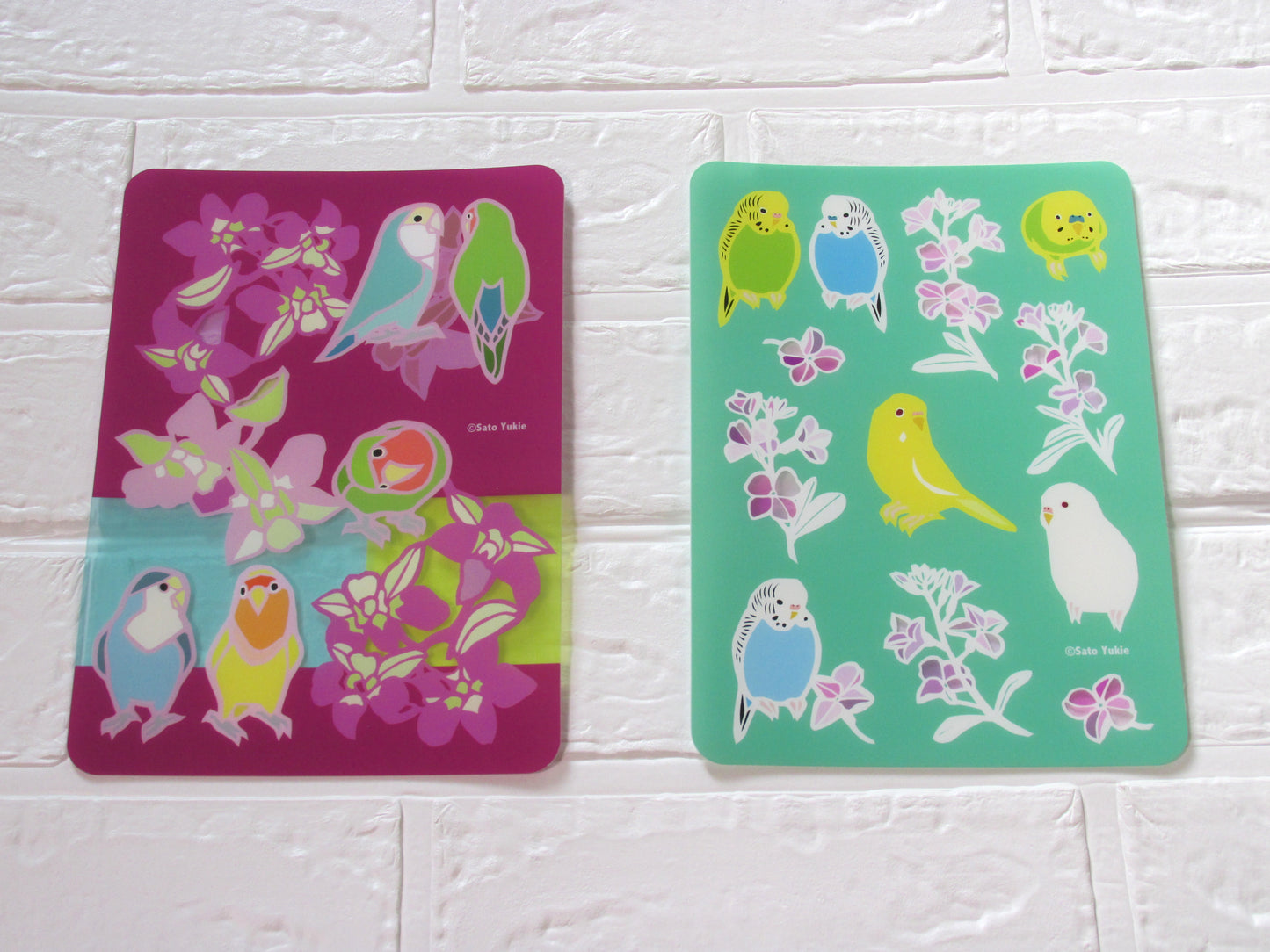 A5 下敷き セキセイストック セキセイインコ