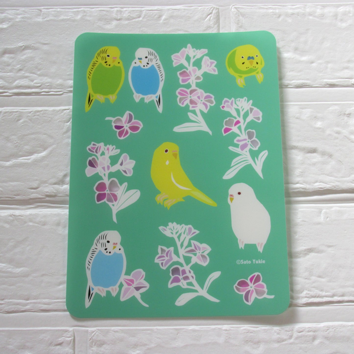 A5 下敷き セキセイストック セキセイインコ