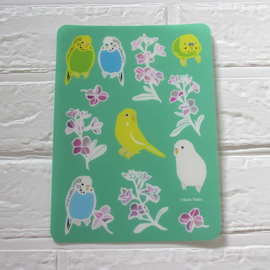 A5 下敷き セキセイストック セキセイインコ