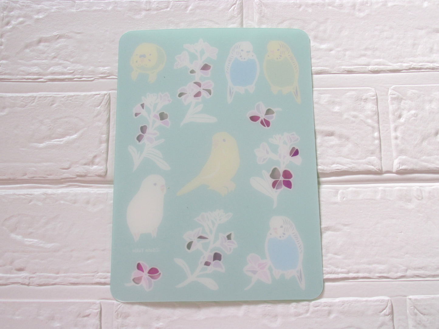 A5 下敷き セキセイストック セキセイインコ