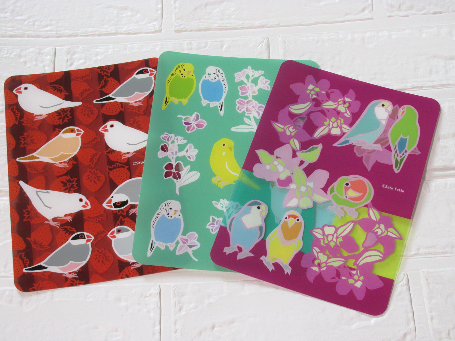 A5 下敷き セキセイストック セキセイインコ