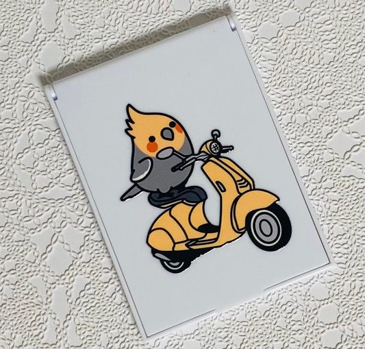 Chubby Bird コンパクトミラー バイクに乗ったオカメインコ クーポン利用不可
