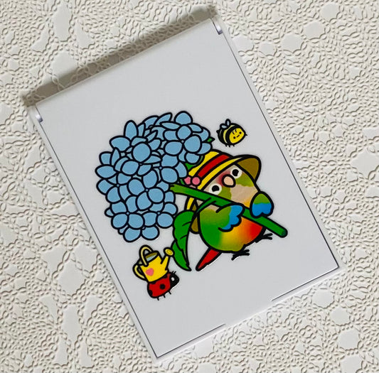 Chubby Bird コンパクトミラー ウロコインコ ガーデニング  クーポン利用不可