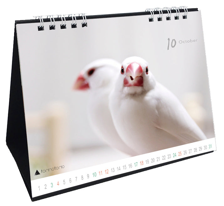 (予約販売)2026年版 今日のぶんこカレンダー 卓上タイプ 文鳥