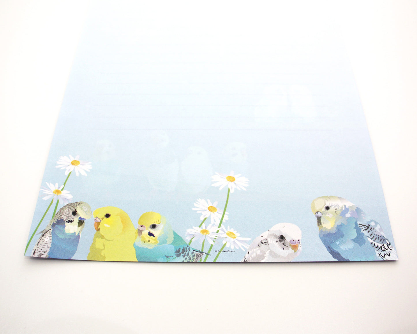レターセット とりアート ゆめいろいんこ セキセイインコ