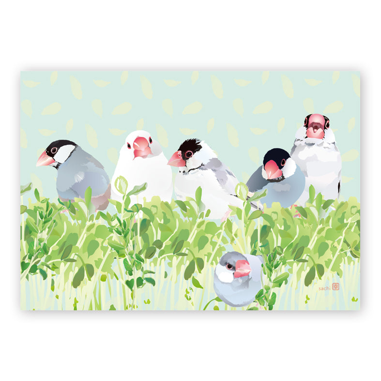 メモ帳 とりアート 豆苗文鳥