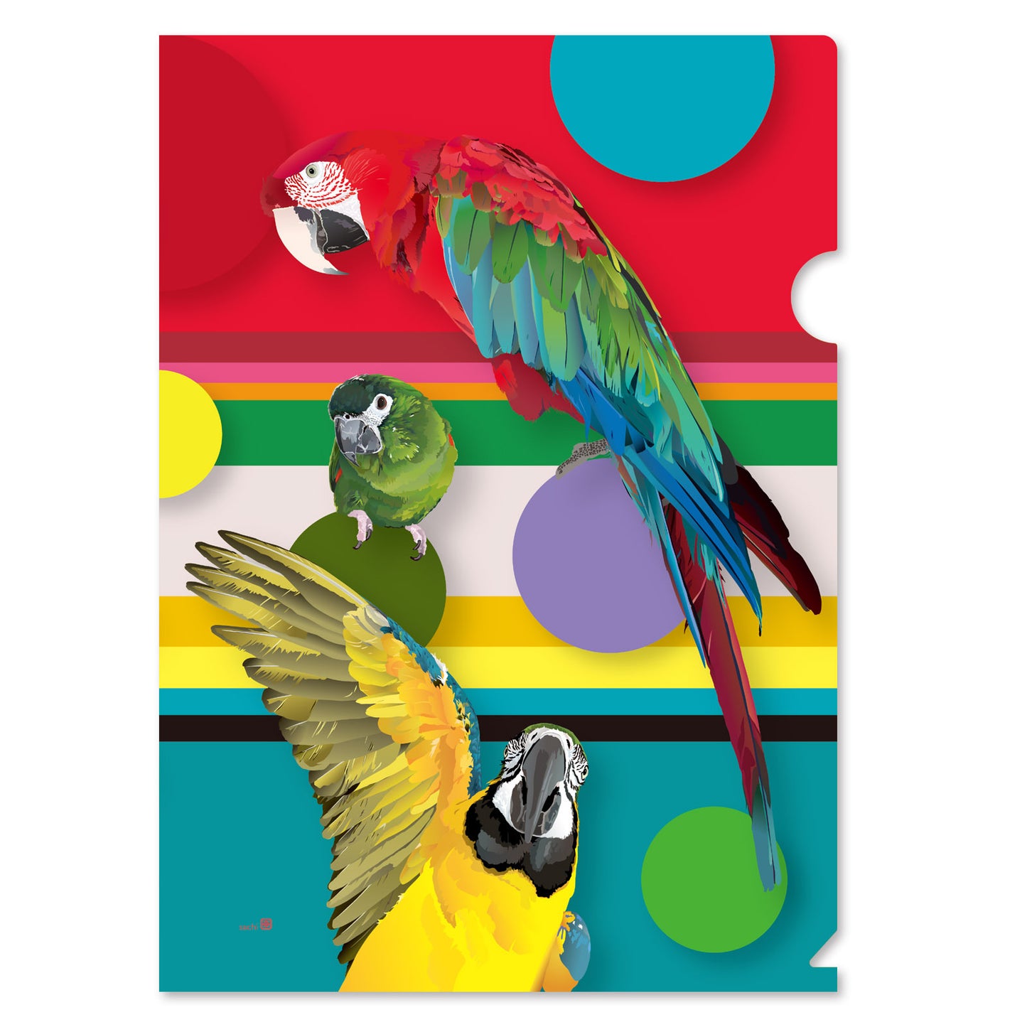 A4 クリアファイル とりアート コンゴウズ コンゴウインコ
