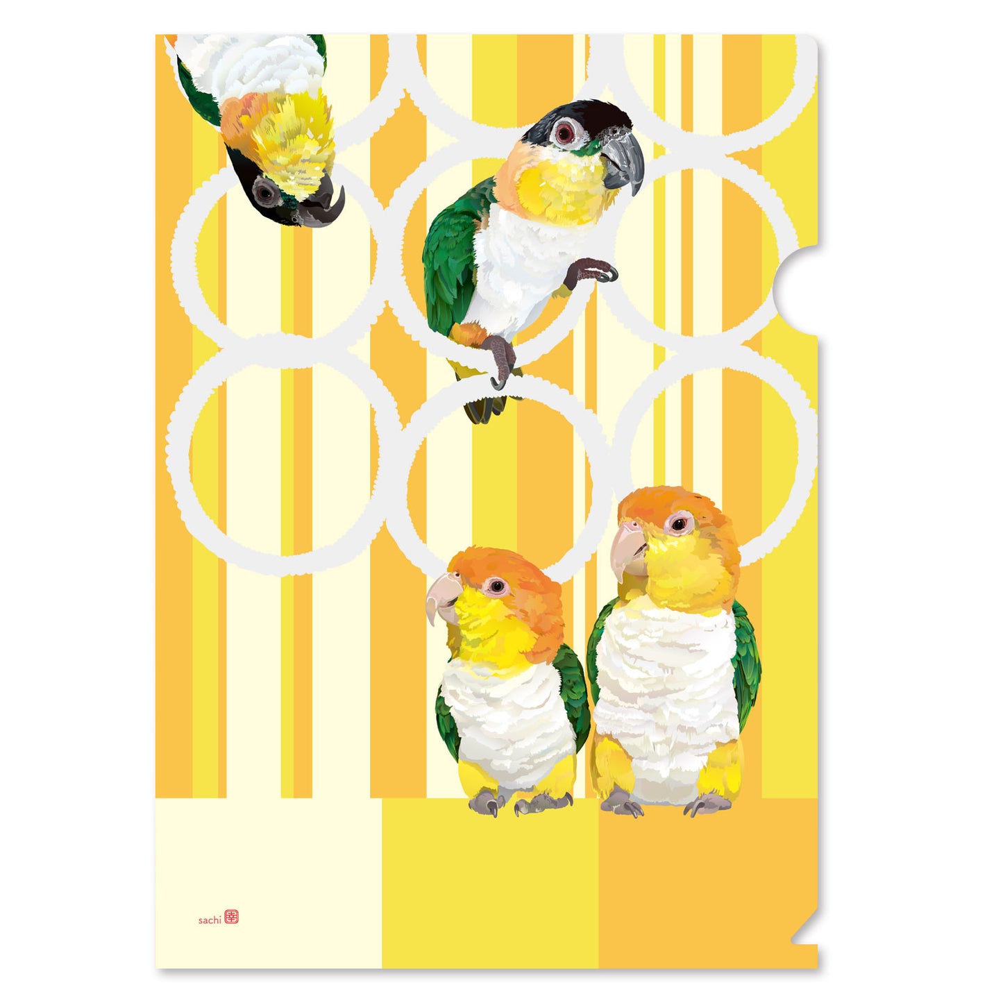 A4 クリアファイル とりアート シロハラ×ズグロ シロハラインコ ズグロシロハラインコ